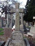 image of grave number 665173